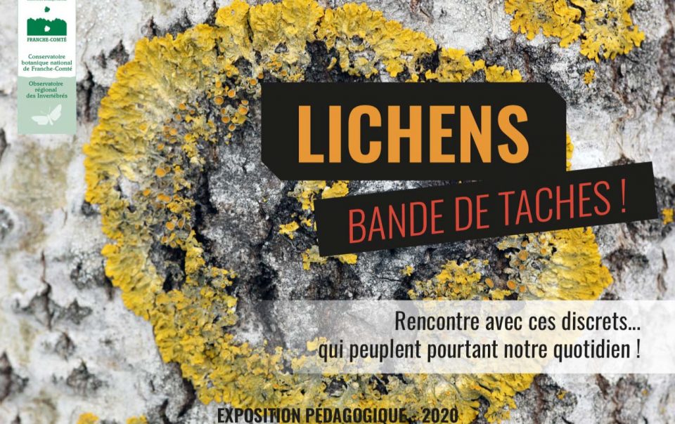 Conservatoire botanique exposition lichens